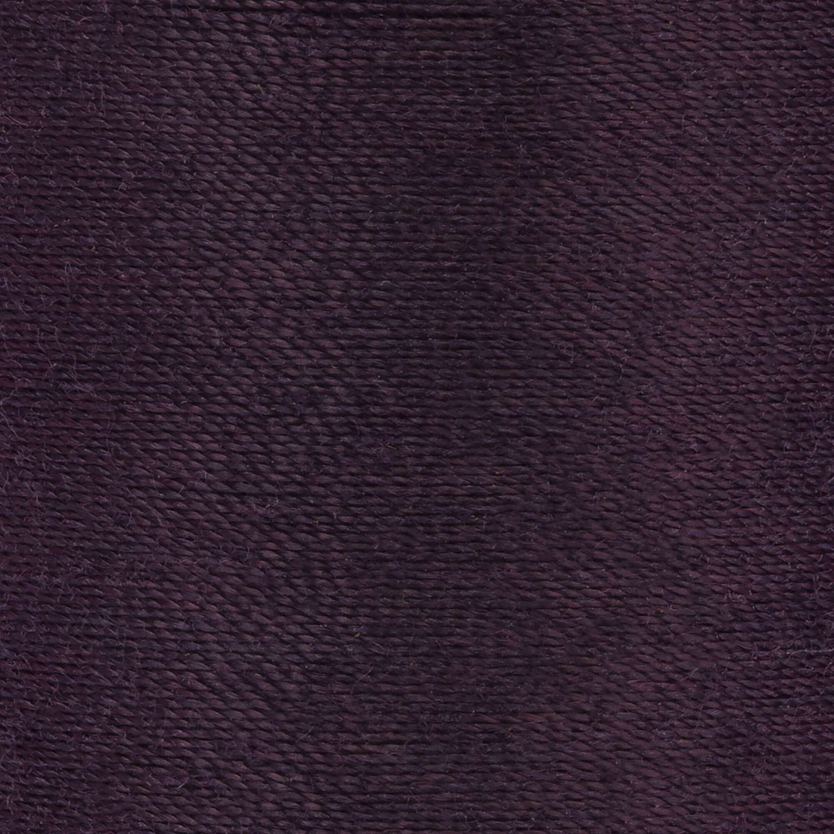 Royal Plum
