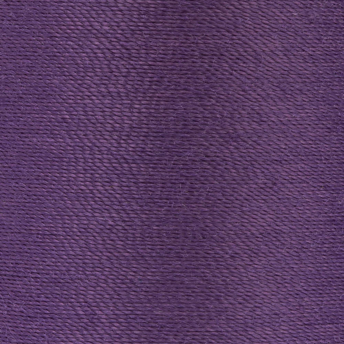 Sea Grape