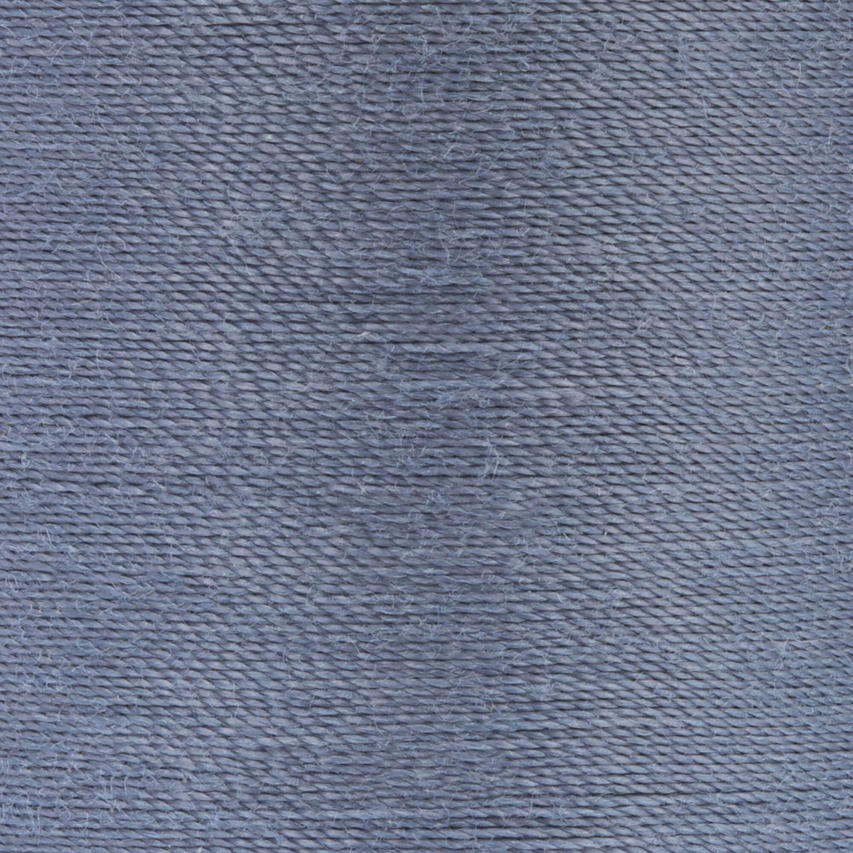 Periwinkle