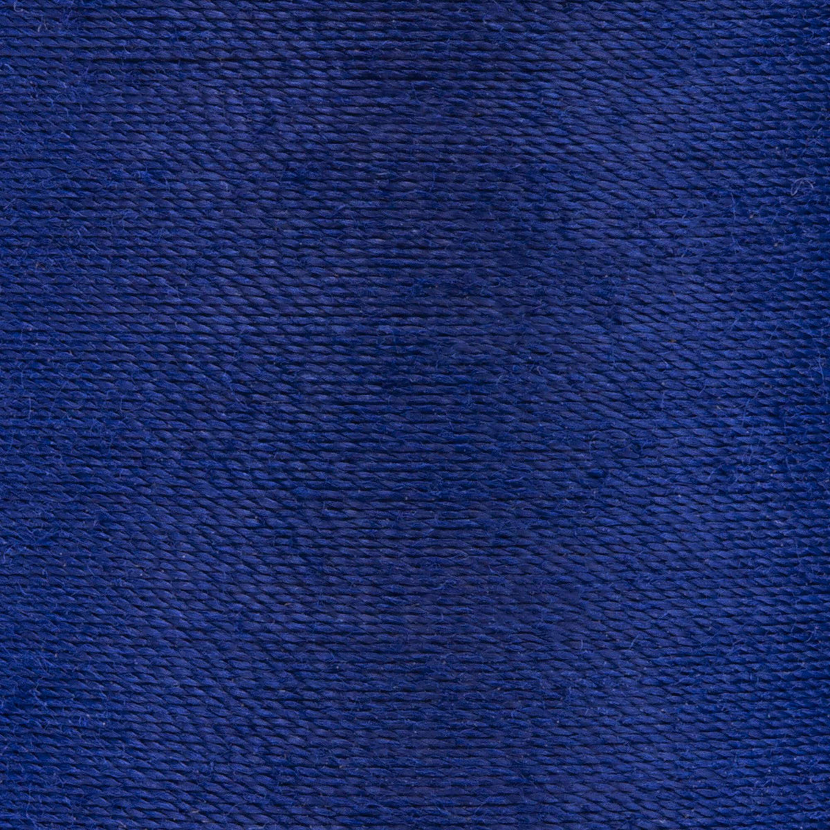Blue Ribbon