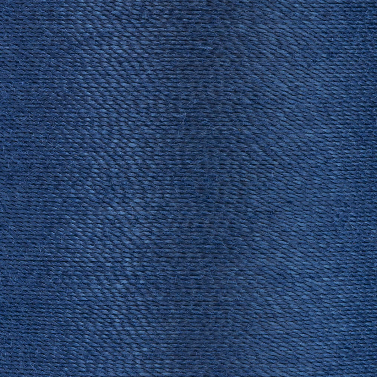 Blue Chip