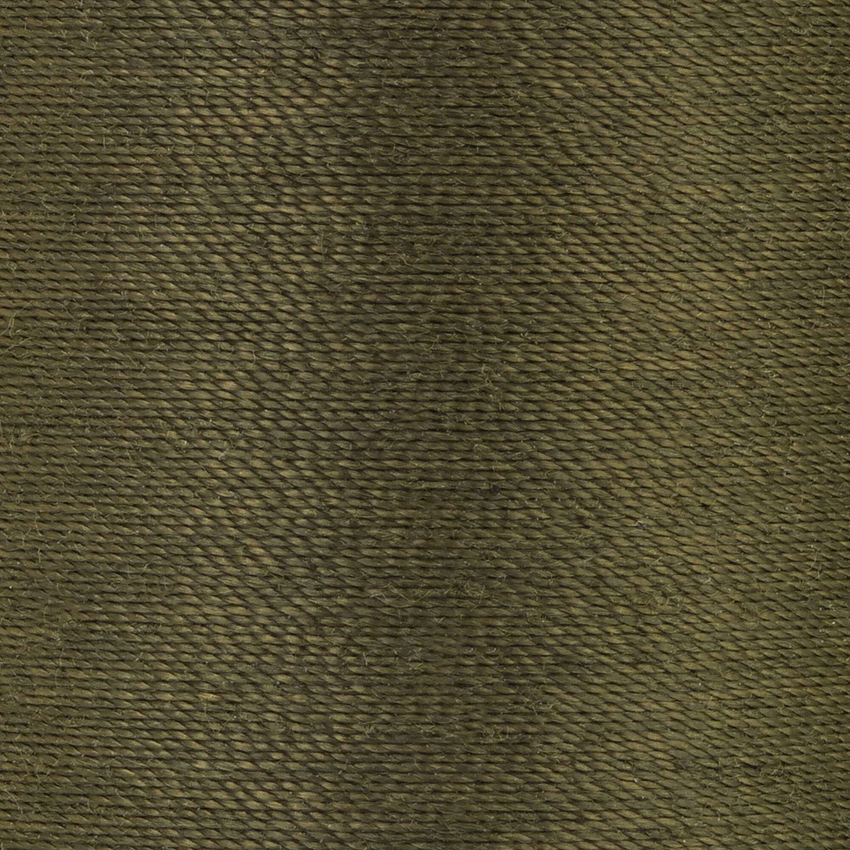 Bronze Green