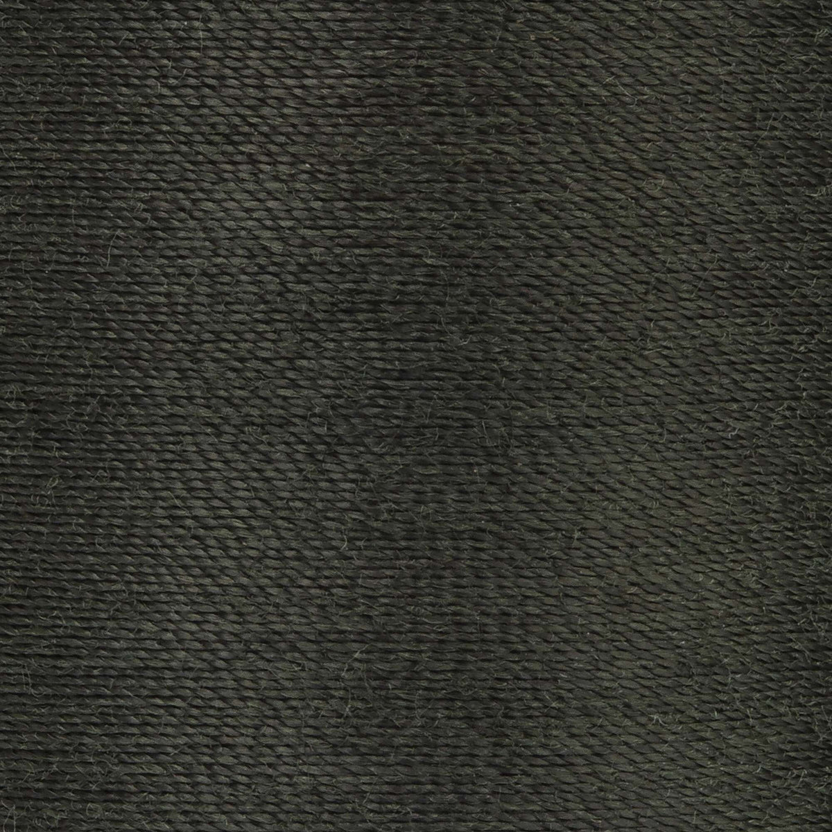 Dark Spinach