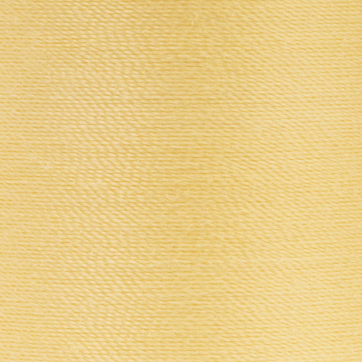 Maize