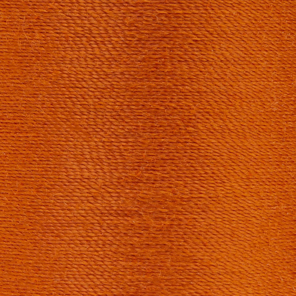 Burnt Orange