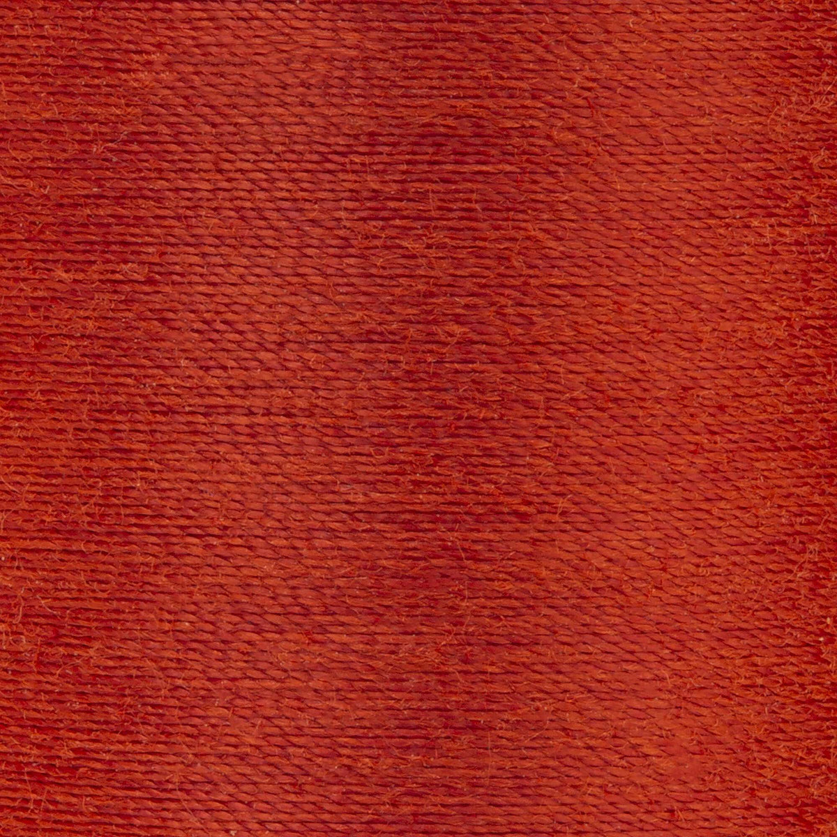 Paprika