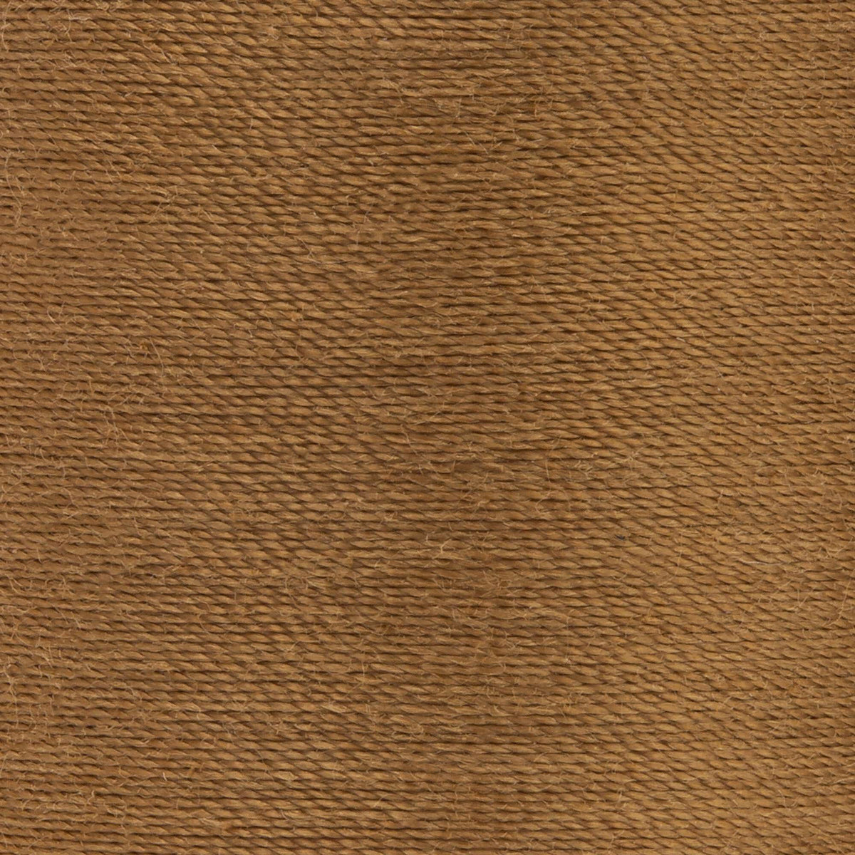 Café Beige