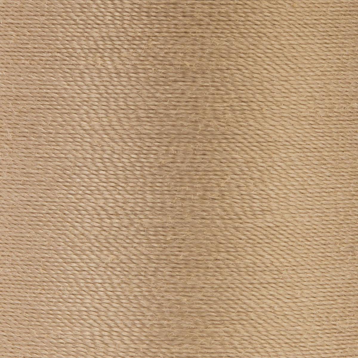Sahara