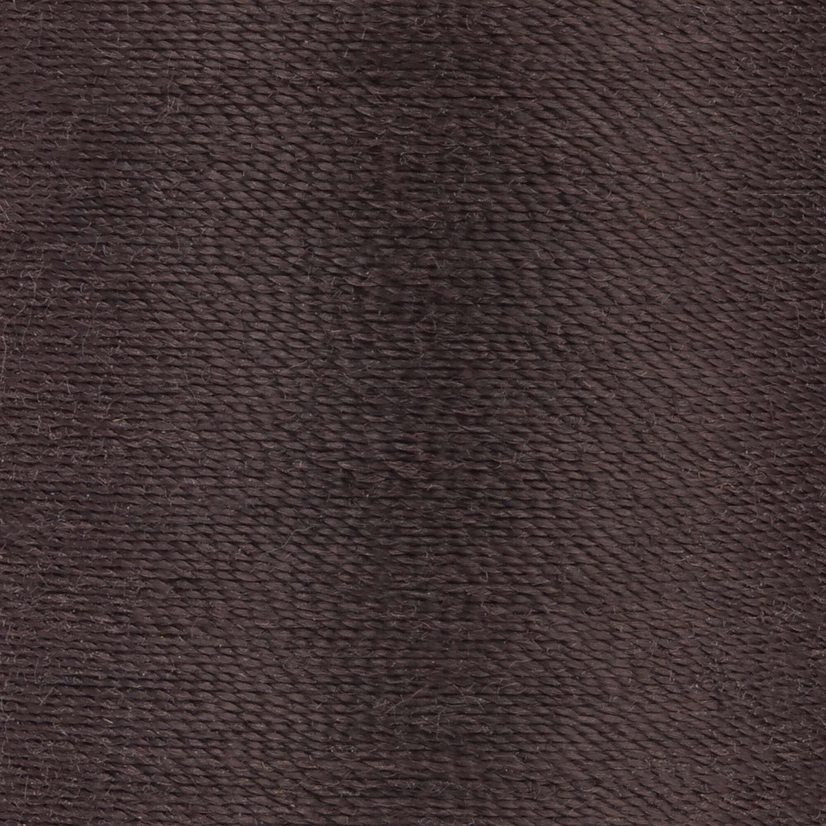 French Roast