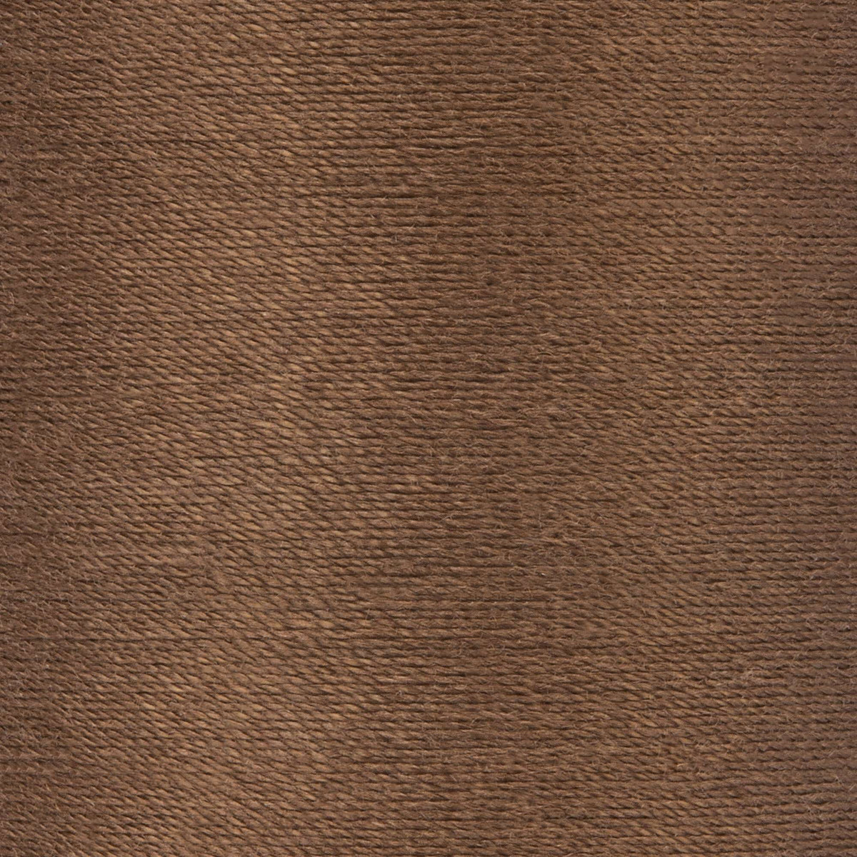 Summer Brown