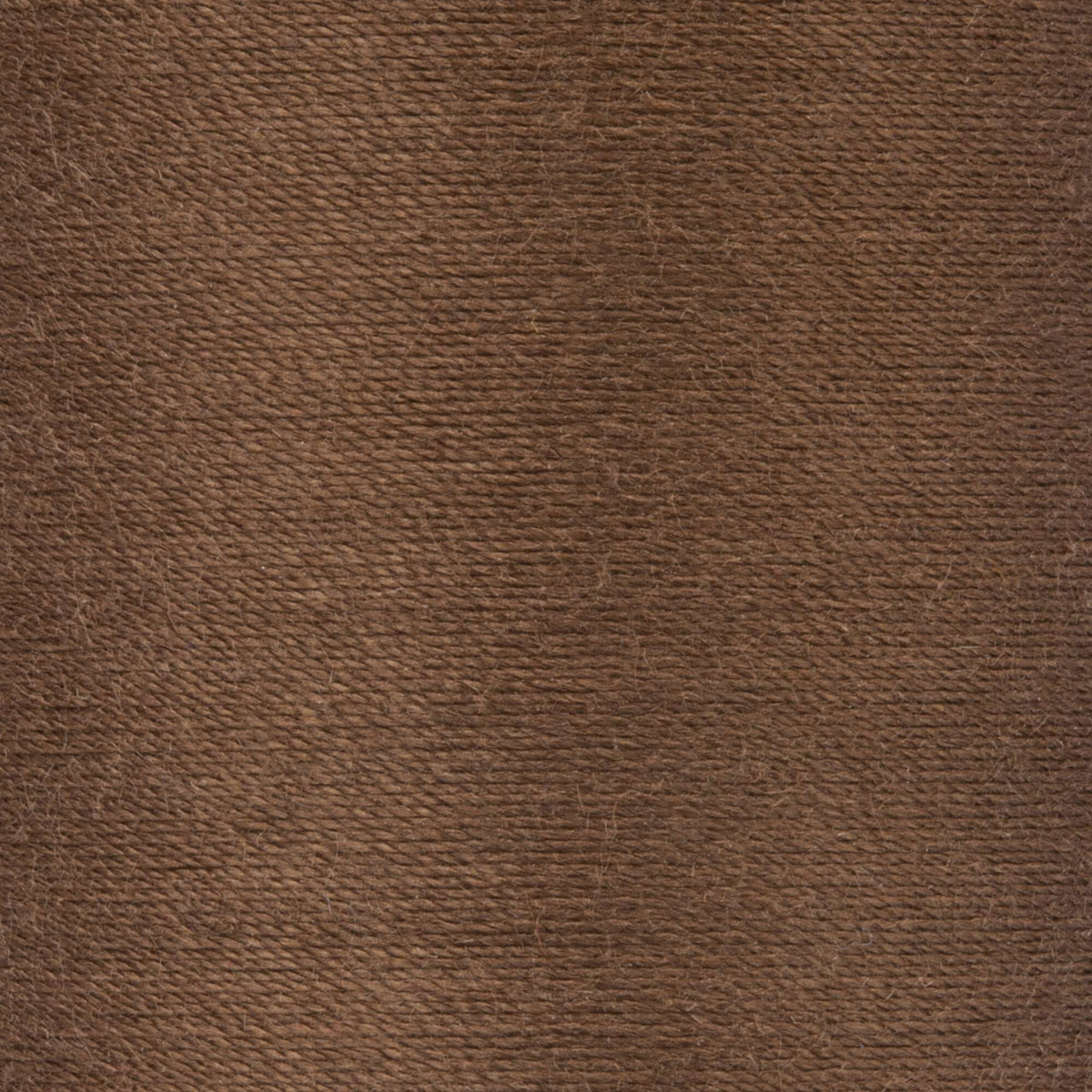 Summer Brown