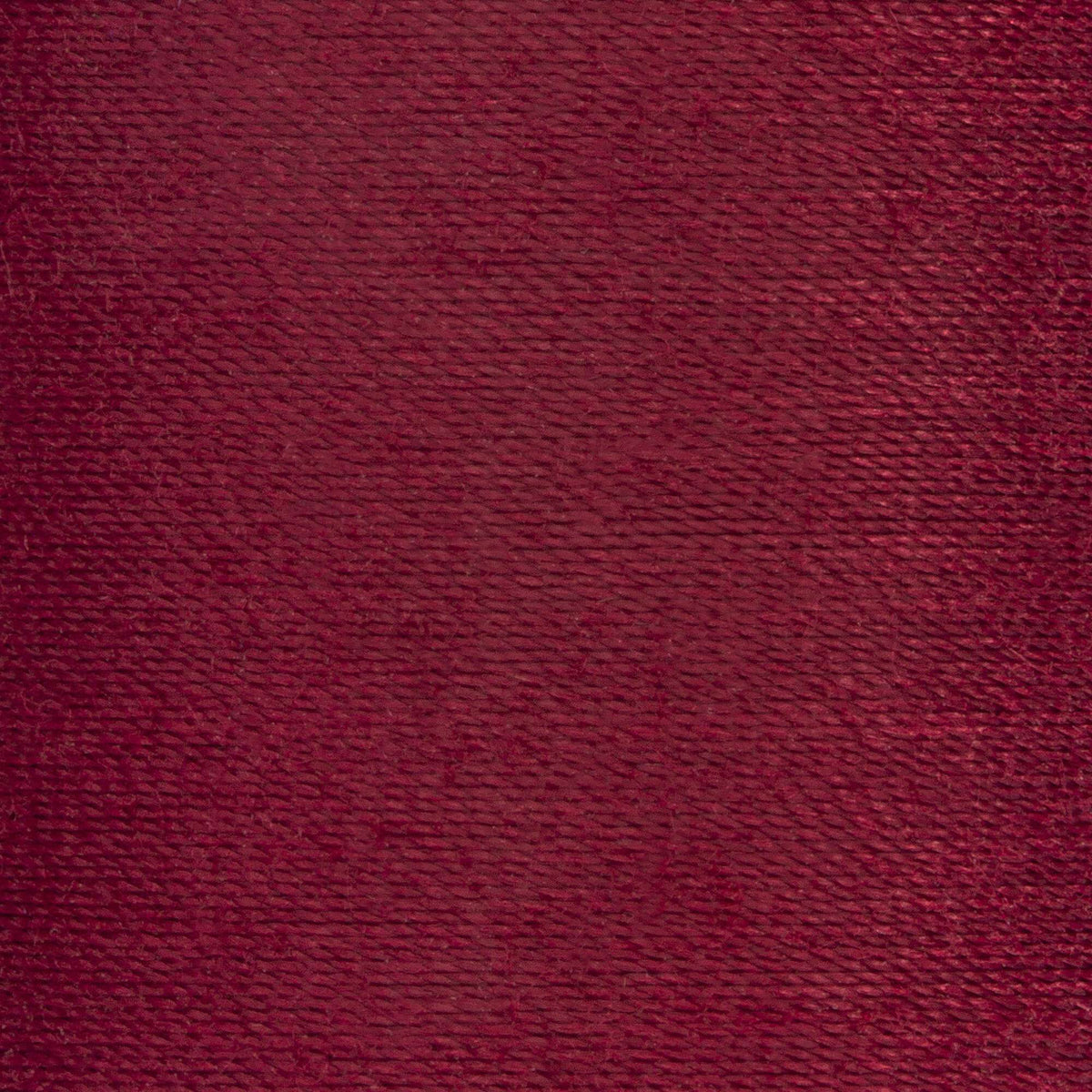 Barberry Red