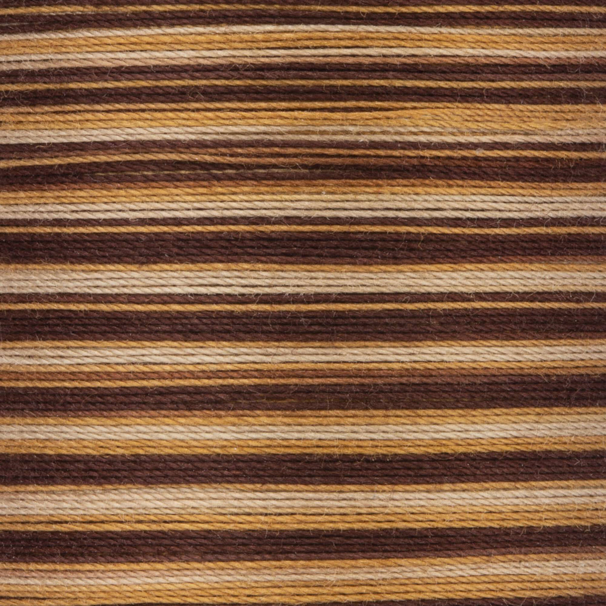 Chocolate Swirl