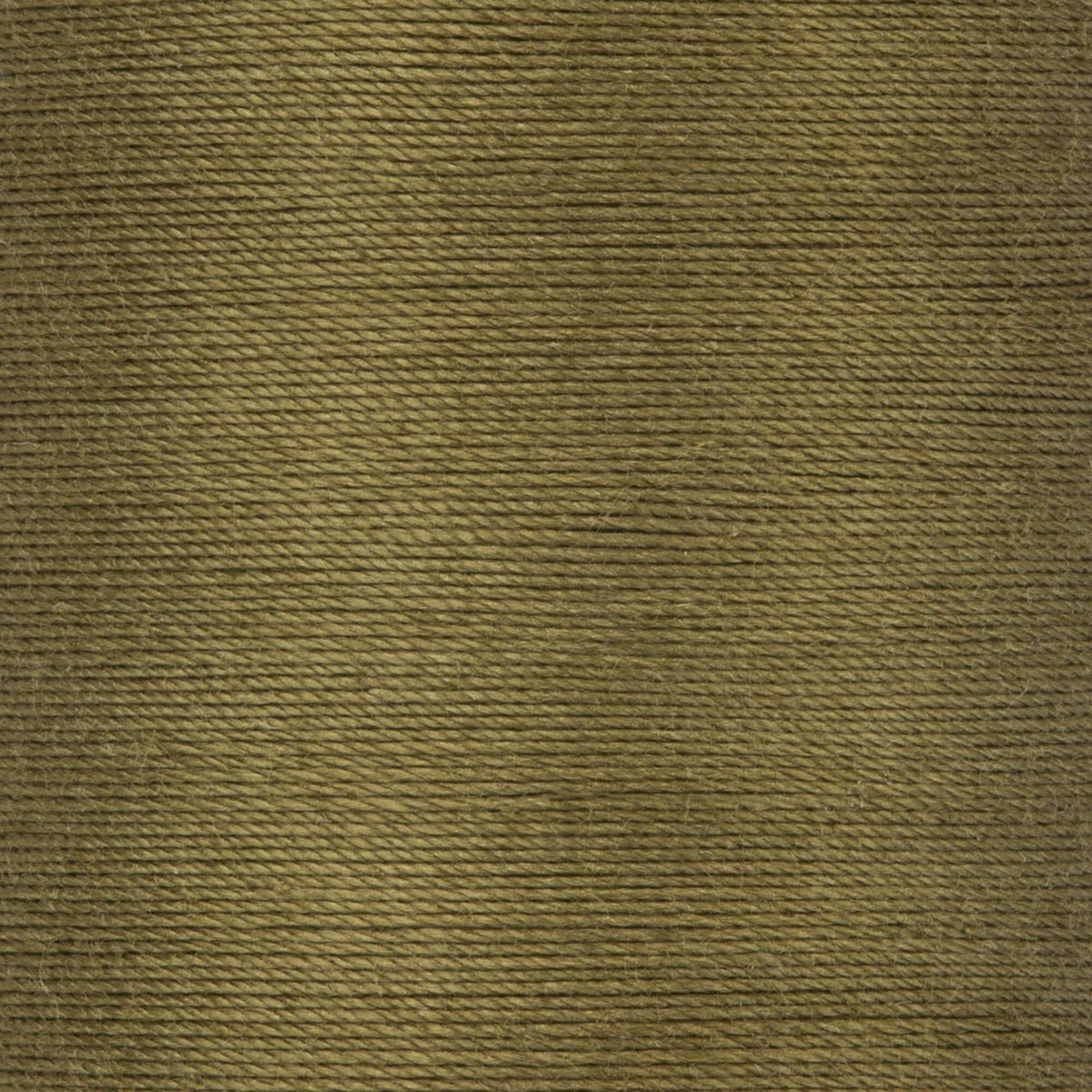 Bronze Green
