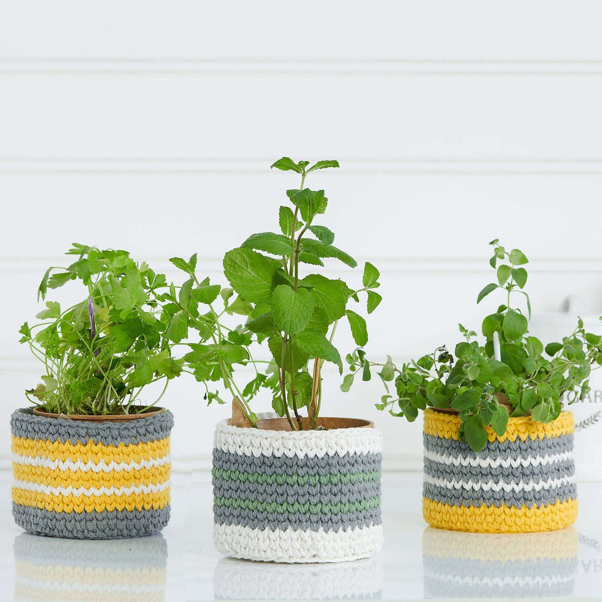 Free Lily Crochet Plant Basket Pattern