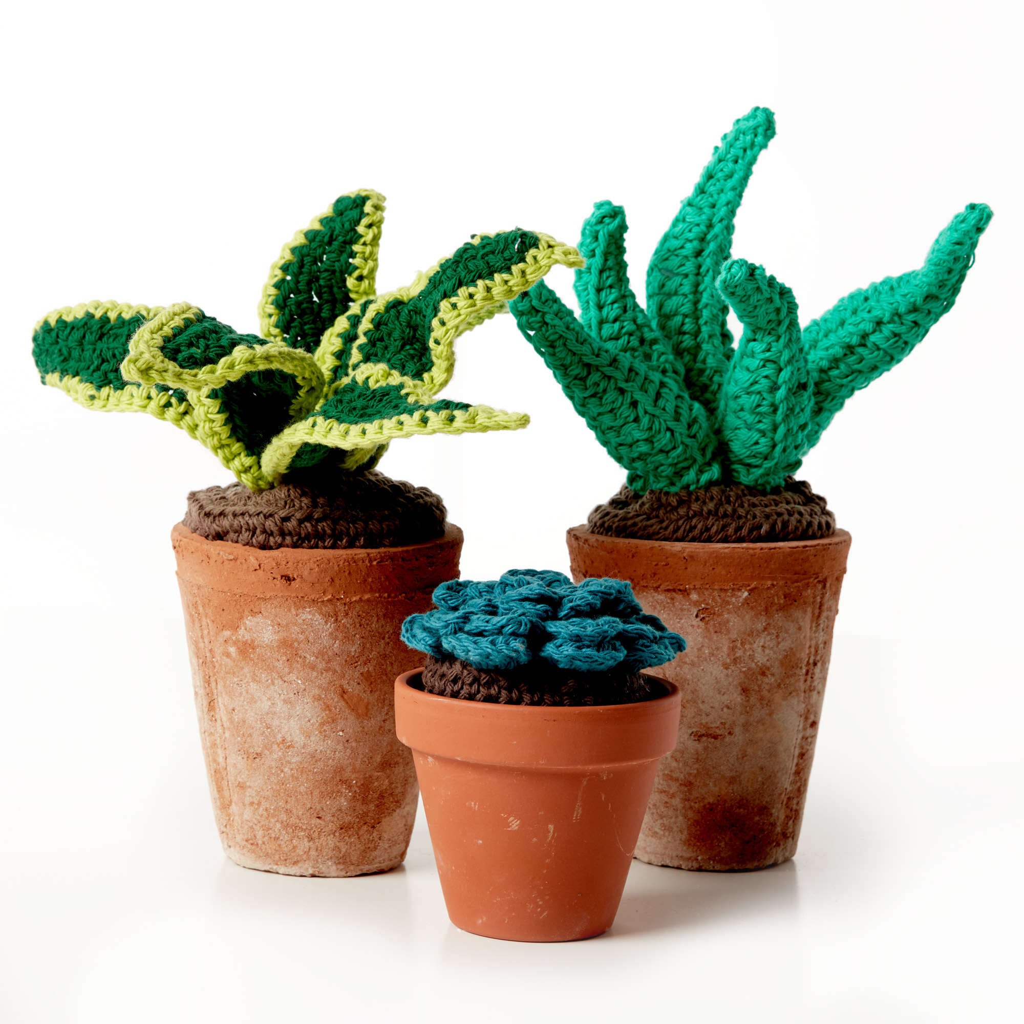 holly jolly succulent Free Easy Lily Sugar'n Cream Succulents Crochet Pattern