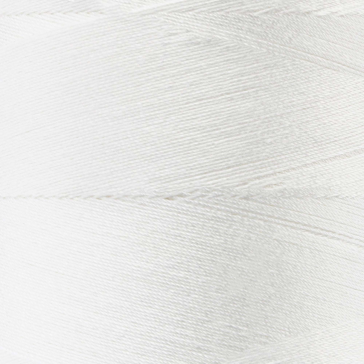 Winter White