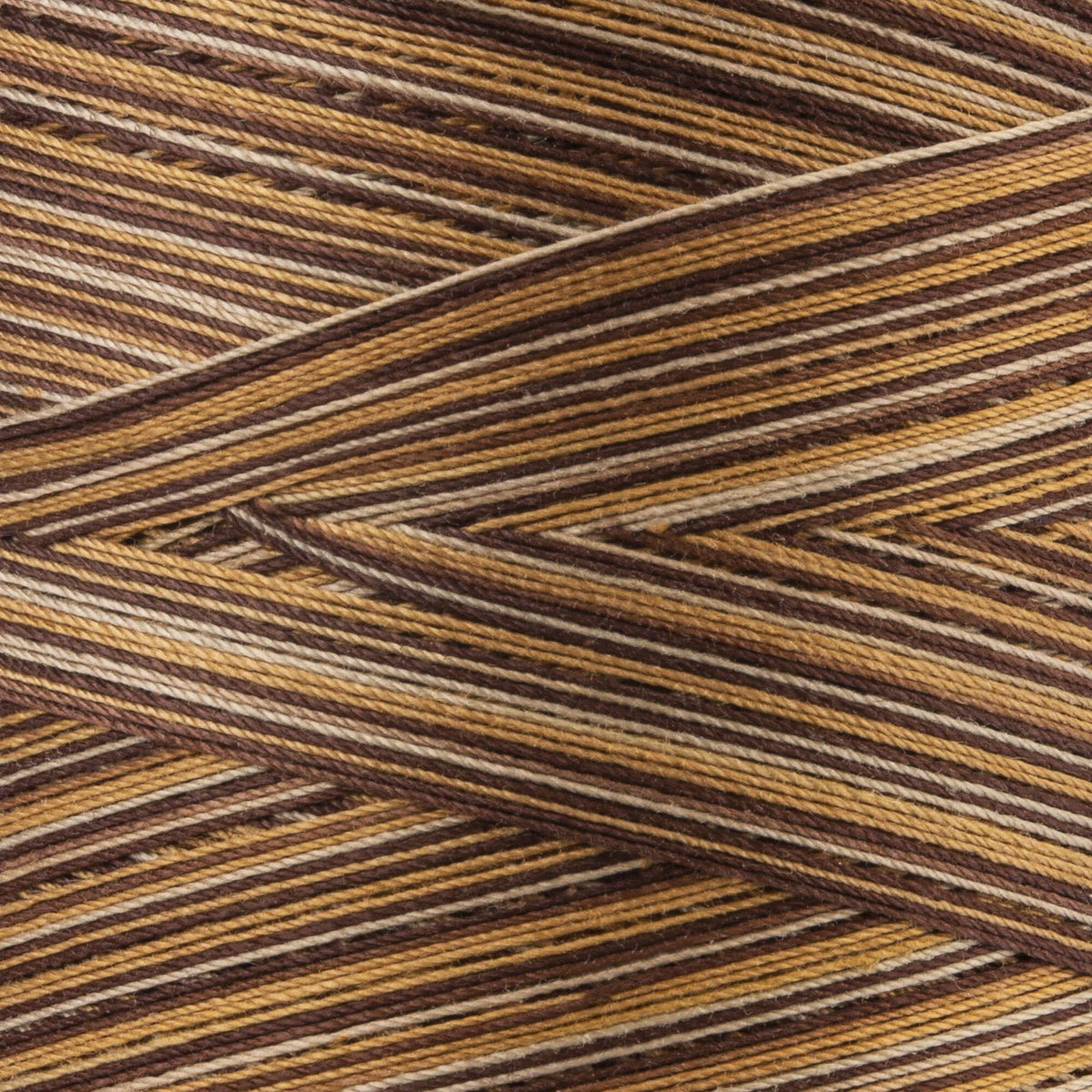 Chocolate Swirl