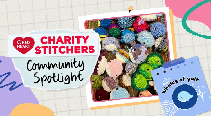 Charity Stitchers: Community Spotlight