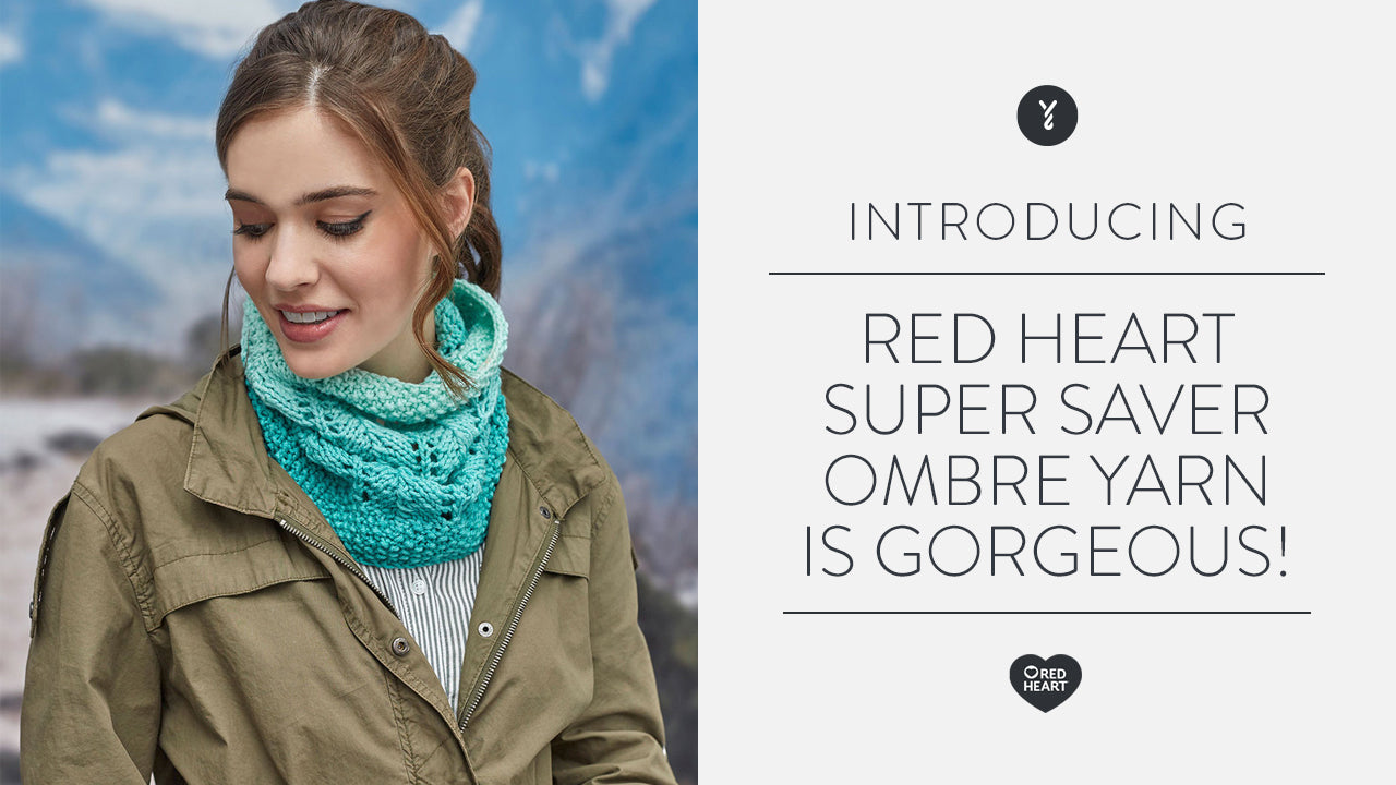 Image of Red Heart Super Saver Ombre Yarn is Gorgeous thumbnail