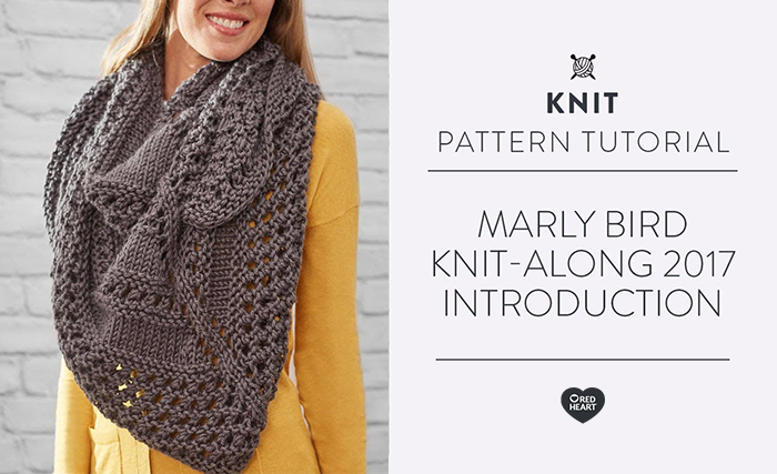 Image of Marly Bird Knit-along 2017 Introduction thumbnail