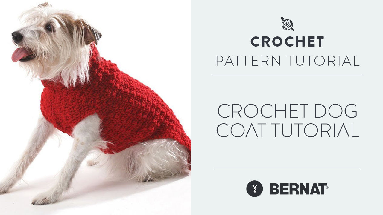 Image of Crochet Dog Coat Tutorial thumbnail