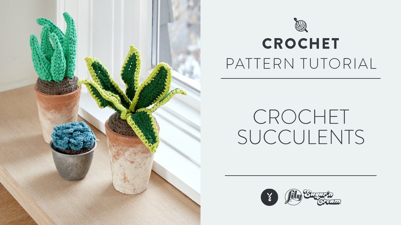 Image of Crochet Succulents thumbnail