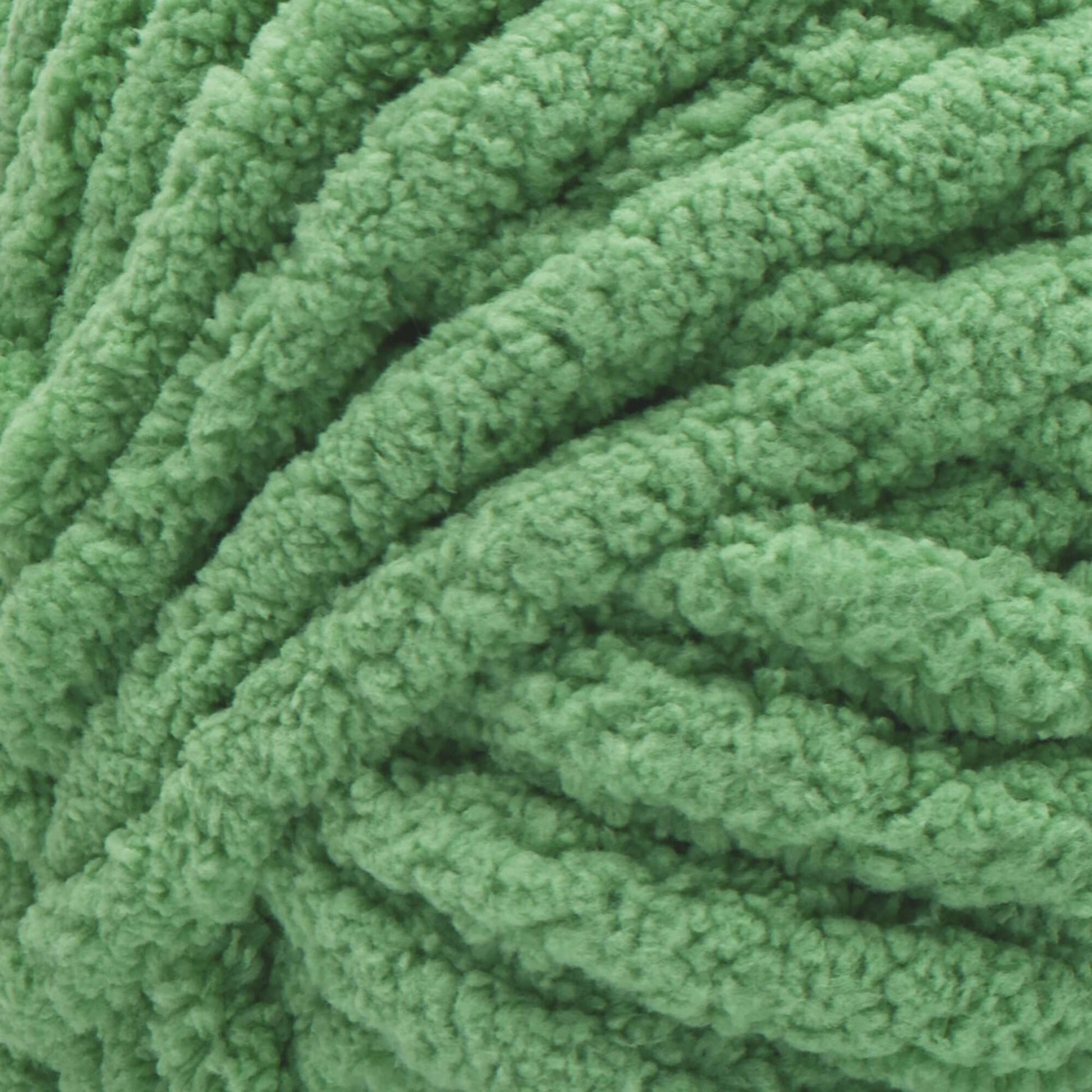 Bernat Blanket Extra Yarn (300g/10.5oz) - Clearance Shades* Grass