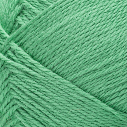 Bernat Softee Baby Yarn (280g/9.9oz) - Discontinued Shades Dinosaur