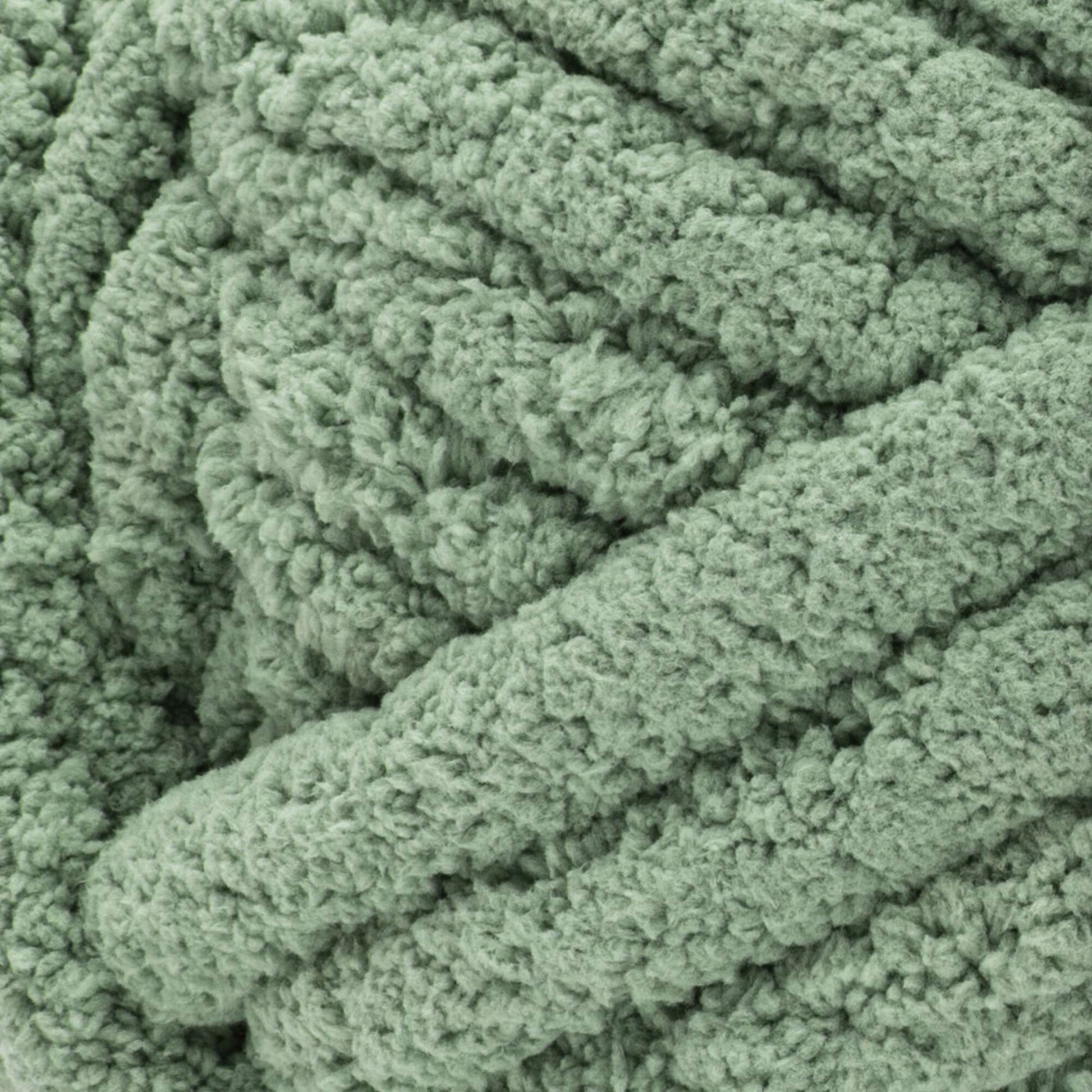 Bernat Blanket Extra Thick Yarn (600g/21.2oz) - Discontinued Shades Green Frost