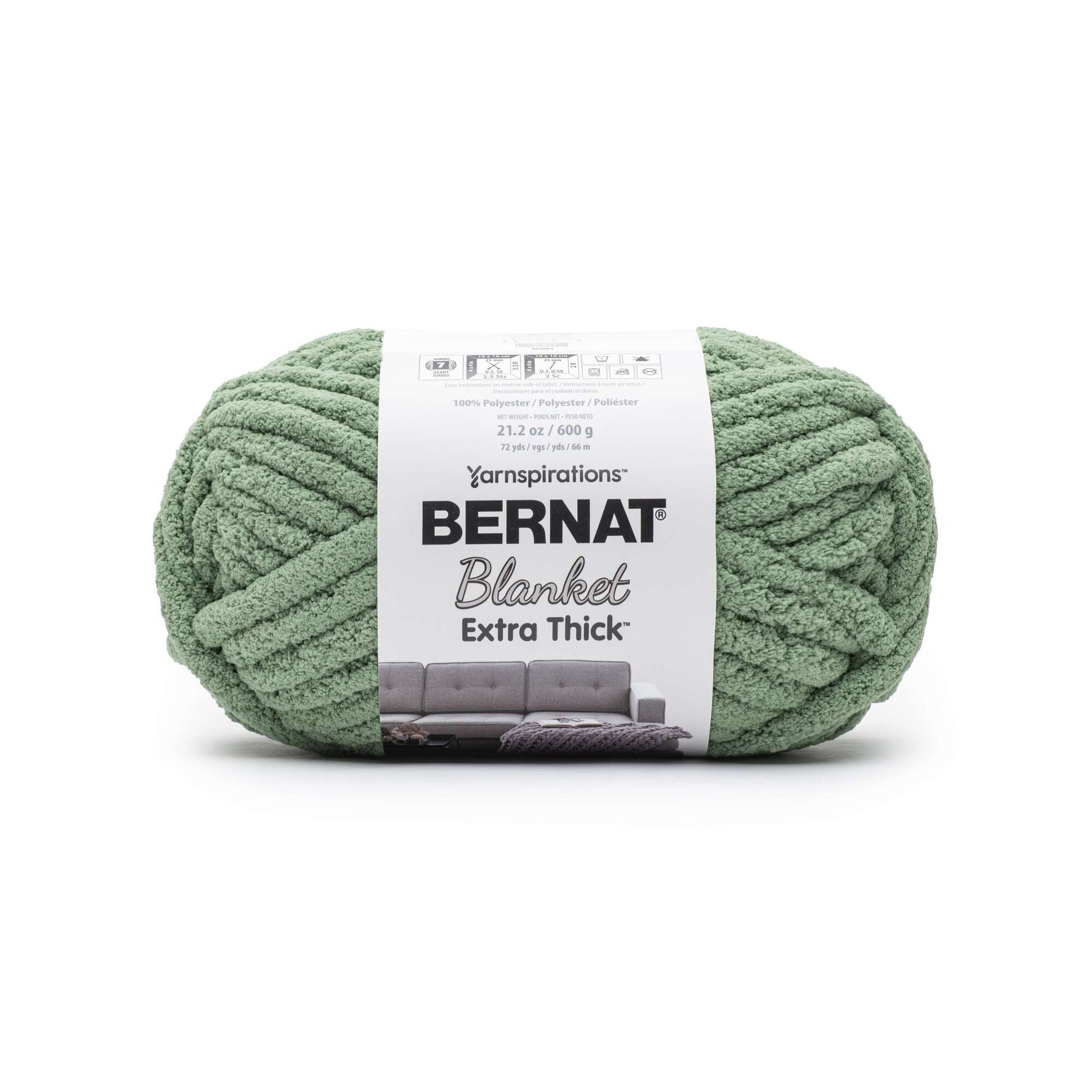 Bernat Blanket Extra Thick Yarn (600g/21.2oz) - Discontinued Shades Green Frost