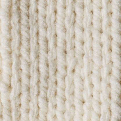 Bernat Softee Chunky Yarn (100g/3.5oz) - Discontinued Shades Natural