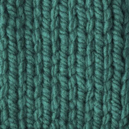 Bernat Softee Chunky Yarn (100g/3.5oz) - Discontinued Shades Emerald