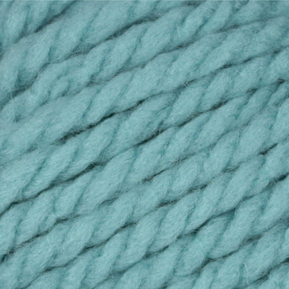 Bernat Softee Chunky Yarn (100g/3.5oz) - Discontinued Shades Seagreen