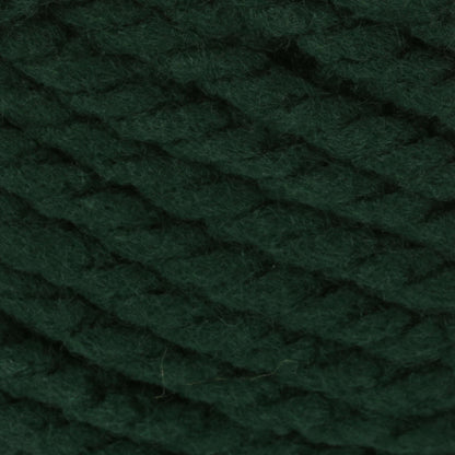 Bernat Softee Chunky Yarn (100g/3.5oz) - Discontinued Shades Dark Green