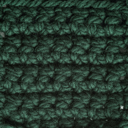 Bernat Softee Chunky Yarn (100g/3.5oz) - Discontinued Shades Dark Green
