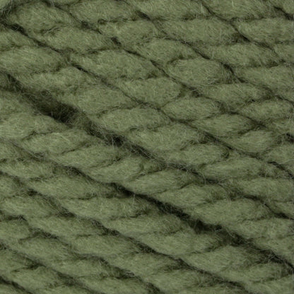 Bernat Softee Chunky Yarn (100g/3.5oz) - Discontinued Shades Forest