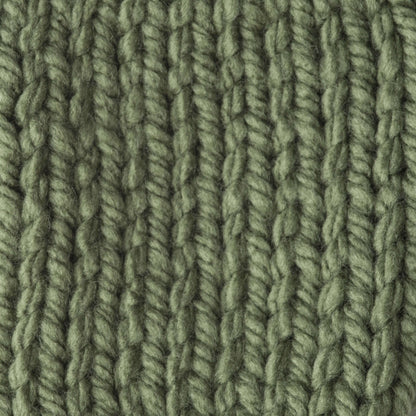 Bernat Softee Chunky Yarn (100g/3.5oz) - Discontinued Shades Forest