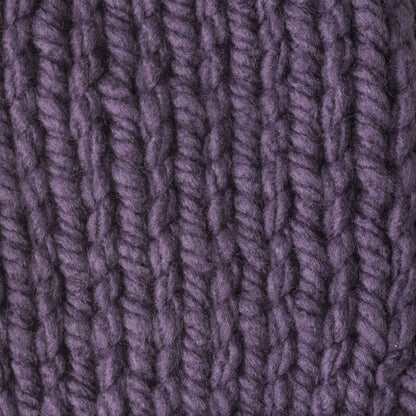 Bernat Softee Chunky Yarn (100g/3.5oz) - Discontinued Shades Dark Mauve