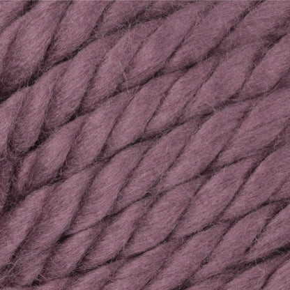 Bernat Mega Bulky Yarn (300g/10.5oz) - Discontinued Shades Purple