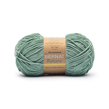 Bernat Future Hope Yarn (170g/6oz) Teal Lake
