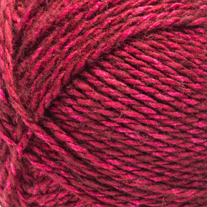 Bernat Future Impact Yarn (170g/6oz) Cherry