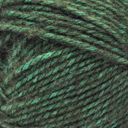 Bernat Future Impact Yarn (170g/6oz) Forest
