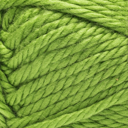 Bernat Homebody Yarn (142g/5oz) Shenandoah Forest