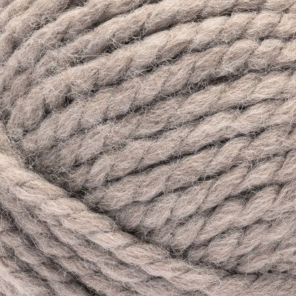 Bernat Future Inspire Yarn (170g/6oz) Cloudy Day