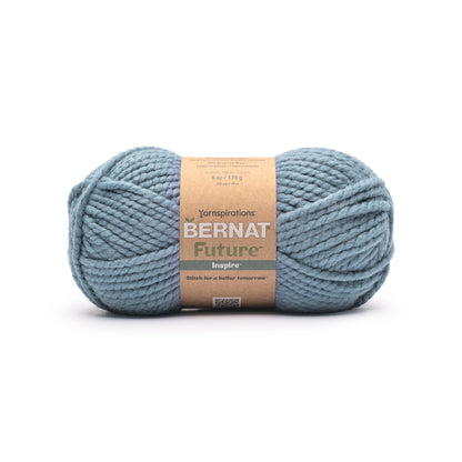 Bernat Future Inspire Yarn (170g/6oz) Slated
