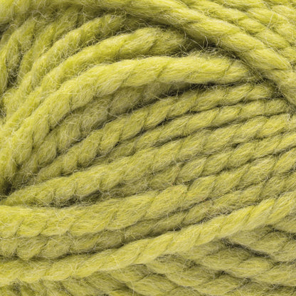 Bernat Future Inspire Yarn (170g/6oz) Acidic Moss