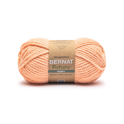Bernat Future Inspire Yarn (170g/6oz) Salmon