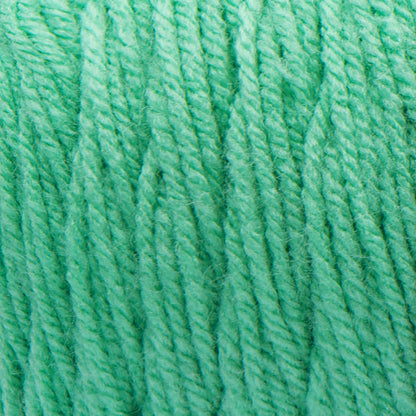 Bernat Premium Yarn - Discontinued Shades Tropical Turquoise