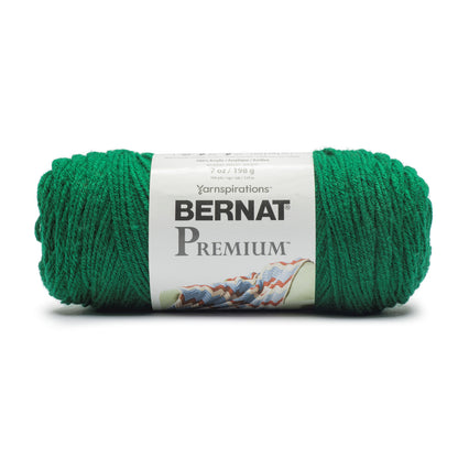 Bernat Premium Yarn Paddy Green